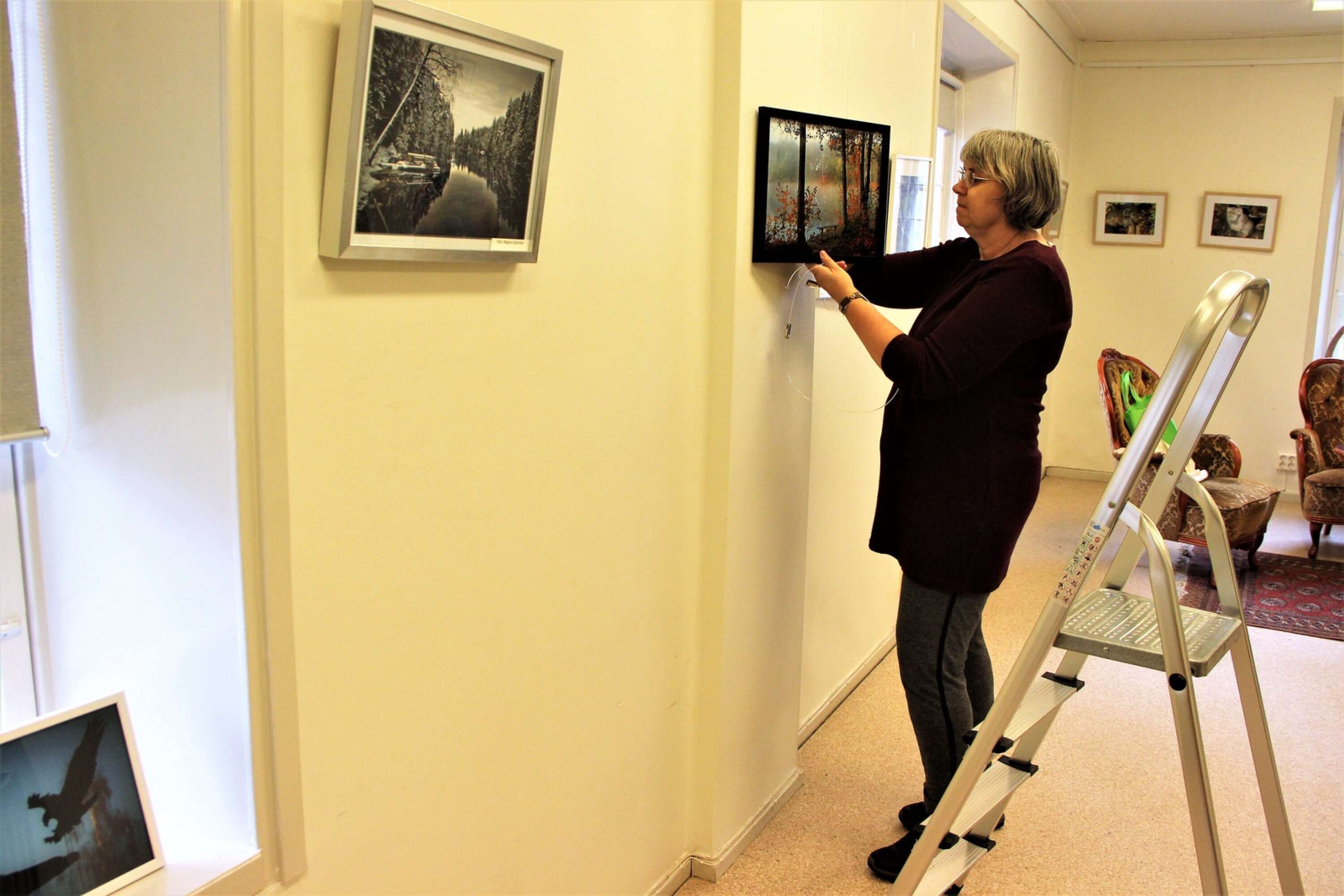 Susanne Wallin, kassör i fotoklubben, hänger ett fotografi hon tig nyligen vid Degernäs.