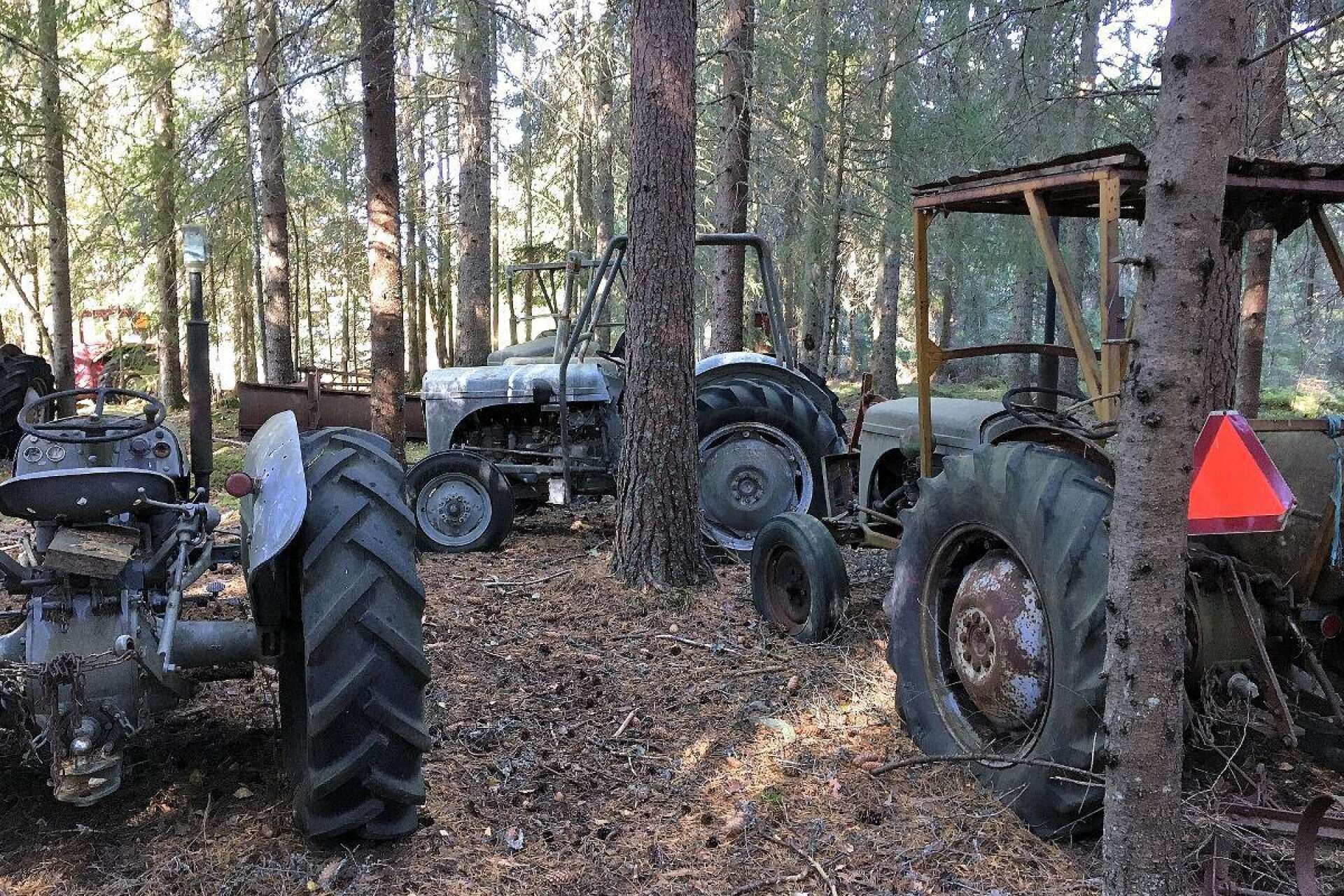 I en skog i Holmedal hittades 16 traktorer, varav 14 är gamla Grållar.