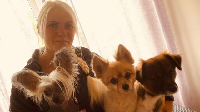 Anneli Oscarssons tre egna hundar ställer ofta upp som modeller.