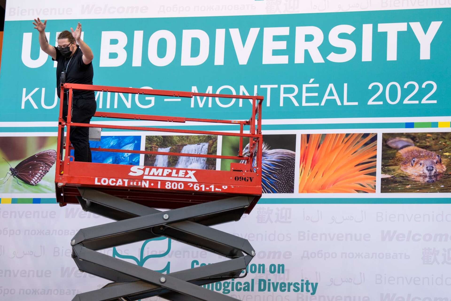 Nu pågår FN:s toppmöte om biologisk mångfald (COP15) i Montreal, skriver Gustaf Lind och Åsa Ranung.