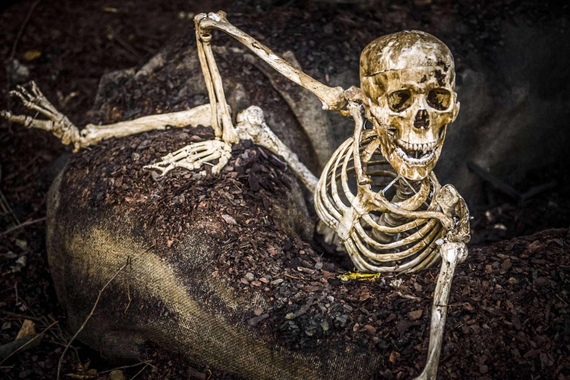 Ett skelett som hoppas fram kan skrämma den mest härdade.