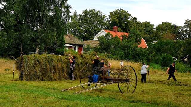 På söndag arrangeras ängsdag på Maden vid Hjoån med slåtter och hässjning av hö.