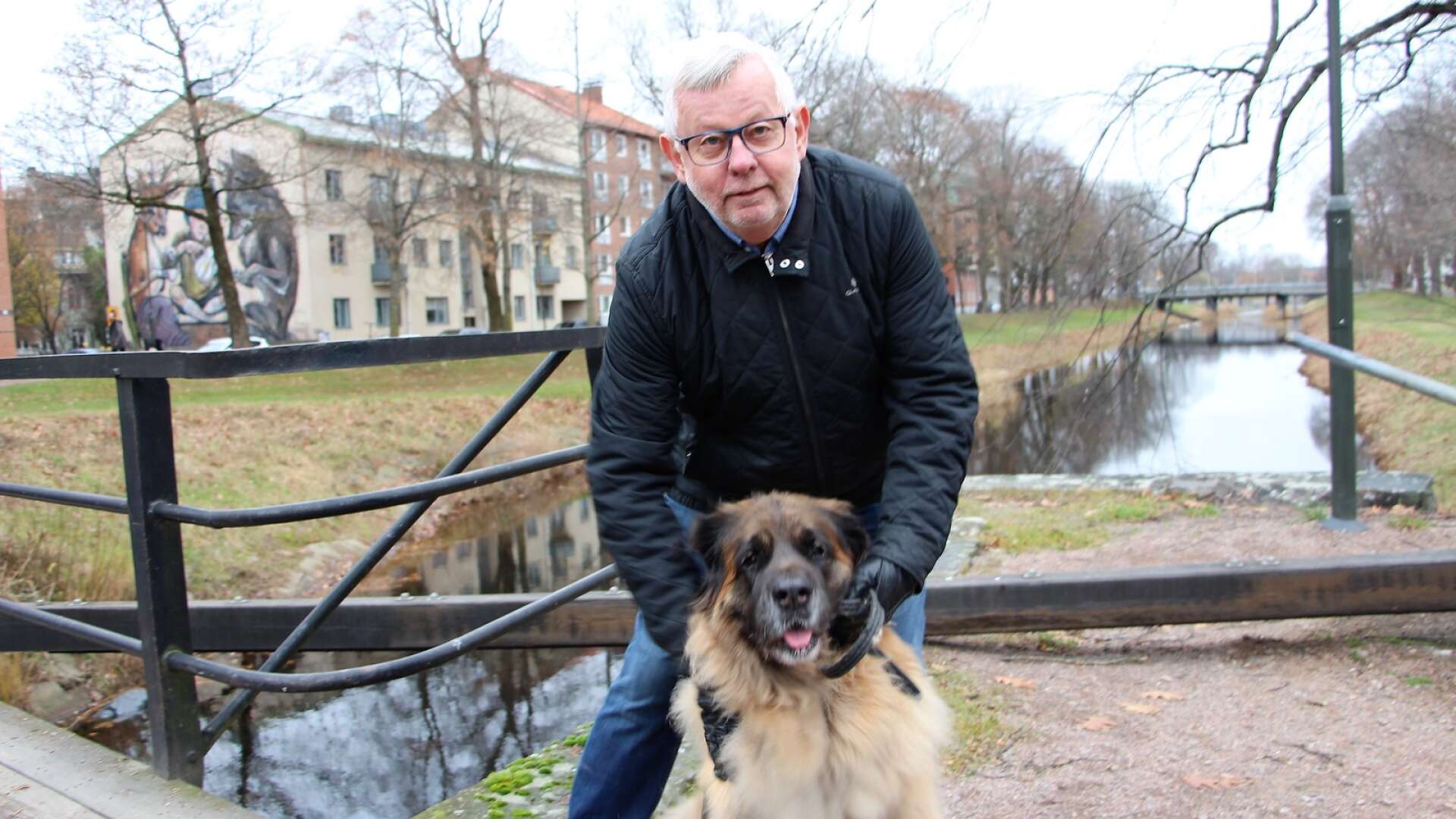 Håkan Holm Alteblad (S) har bestämt sig för att inte kandidera för en ny period i kommunfullmäktige efter snart 40 år där. Striden om Månsberget fick honom att ta det beslutet. Här ses han med familjens Leonberger Nikkie, tio år.