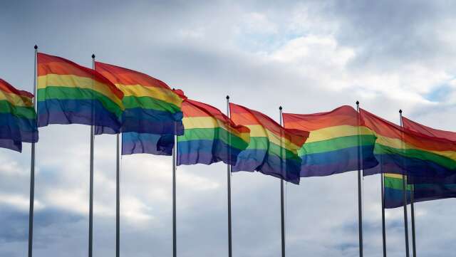 Många prideparader har ställts in på grund av pandemin, denna vecka även det stora tåget i Stockholm.