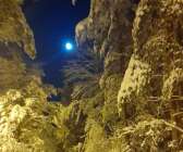 Bilden är tagen i Norelund ute på en vacker månskenspromenad. Fotografen heter Marit Eggerud