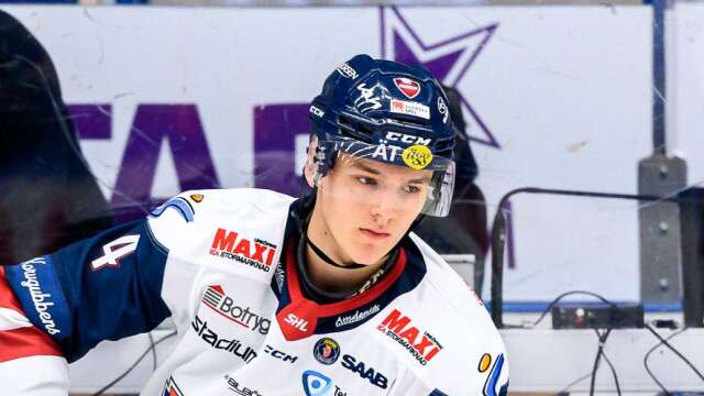 Martin Schreiber i Linköpingtröjan 2021–2022. Schreiber hann med 15 SHL-matcher i LHC innan karriären fortsatte i Kalmar.