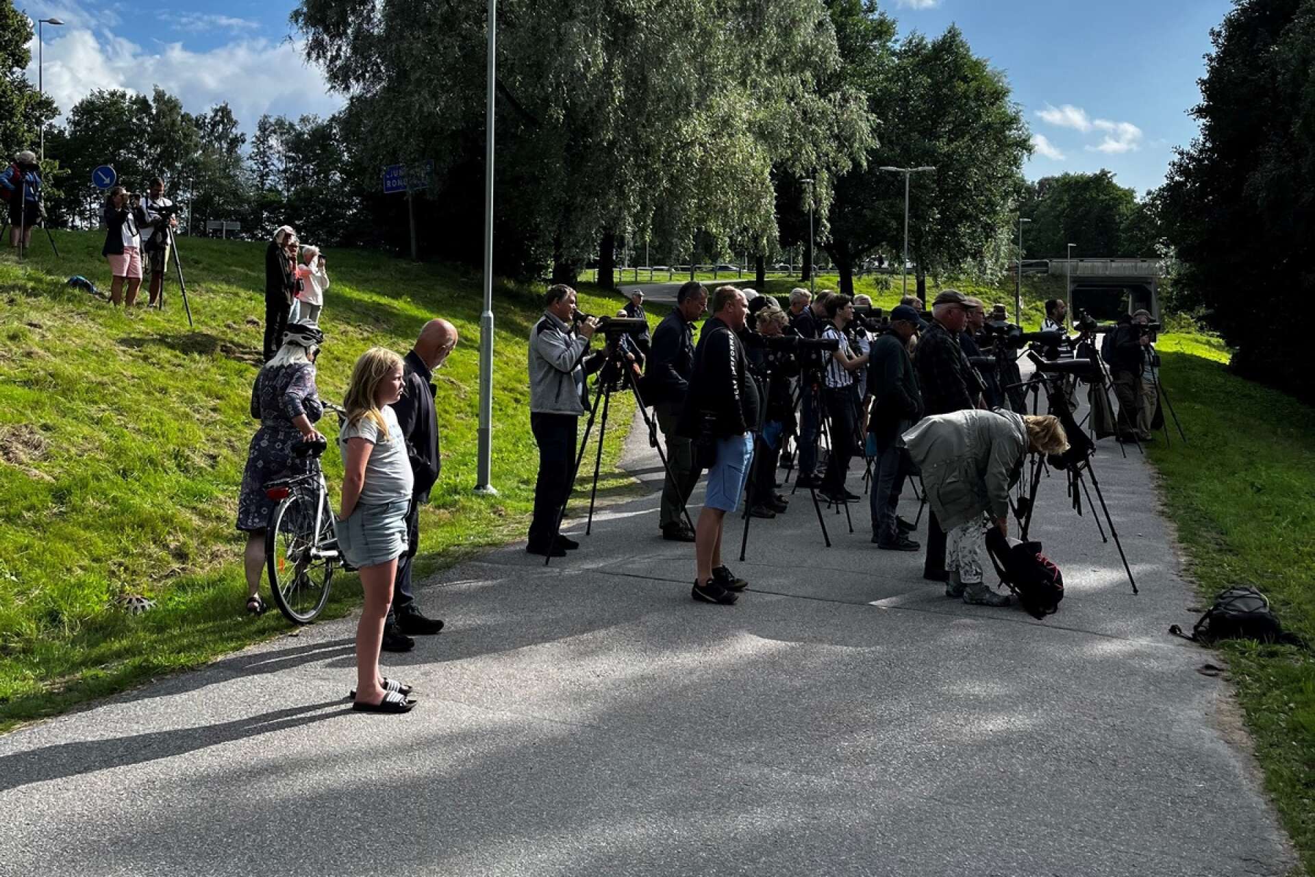 Efter Victor Lindhs rapport om natthägern på lördagsförmiddagen flockades snart fågelskådarna runt Ågårdsbron.