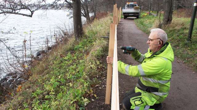 Peter Enbom jobbade med att sätta upp staketet under förra veckan.