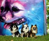 Hunden Uno (till höger) stod modell för ett konstverk av gatukonstartisten Sagie under sommarens gatukonstfestival. Här har han sina hundkompisar med sig för att spana in det färdiga verket.