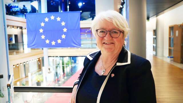 Carina Ohlsson (S) kom in i EU-parlamentet när partikamraten Jytte Guteland gick till riksdagen. Någon ny mandatperiod blir det dock inte. Arkivbild.