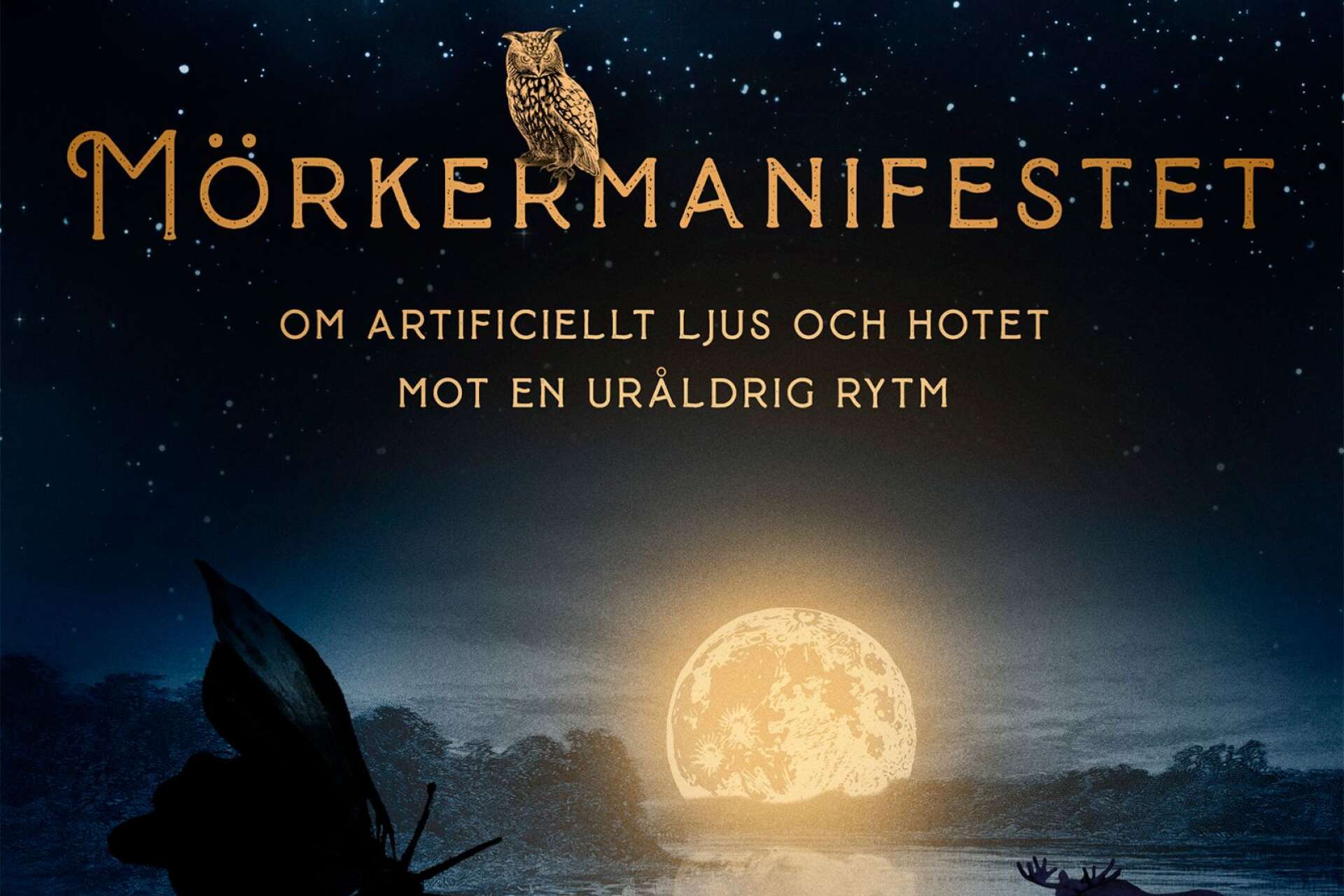 En bok som hyllar mörkret - Johan Eklöfs bok ger perspektiv på det moderna samhällets kamp mot natten.