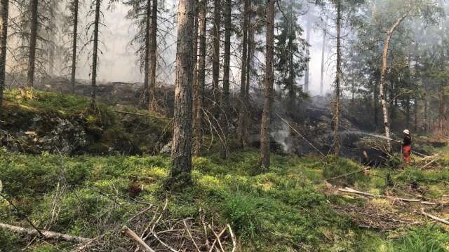 Skogsbranden vid norra änden av Stora Le sysselsatte under torsdagen som mest 30–35 brandmän från räddningstjänsterna i fyra kommuner.