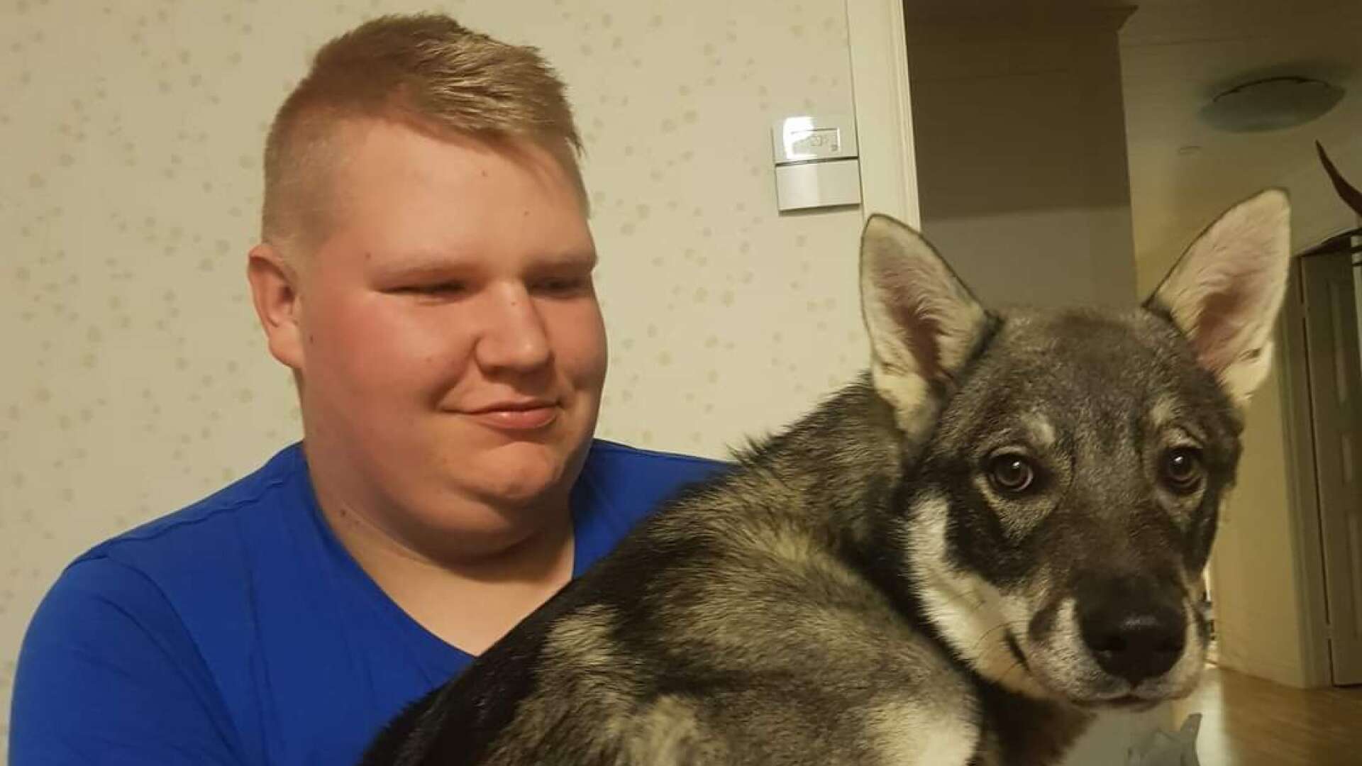 Under onsdagen lämnade Jonatan Olsson hemmet medan hunden Krico var ute i hundgården. Men någon eller några kom dit och stal med sig Krico. 