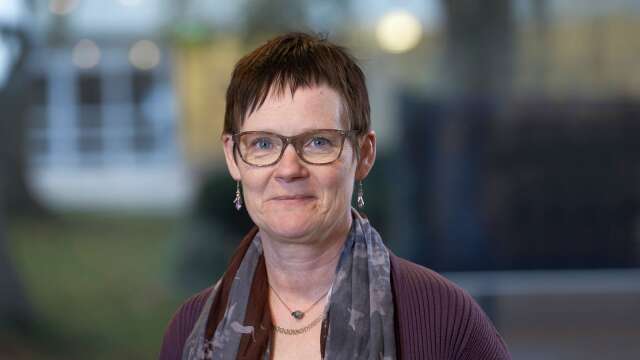 Eva Ulfenborg, kommundirektör