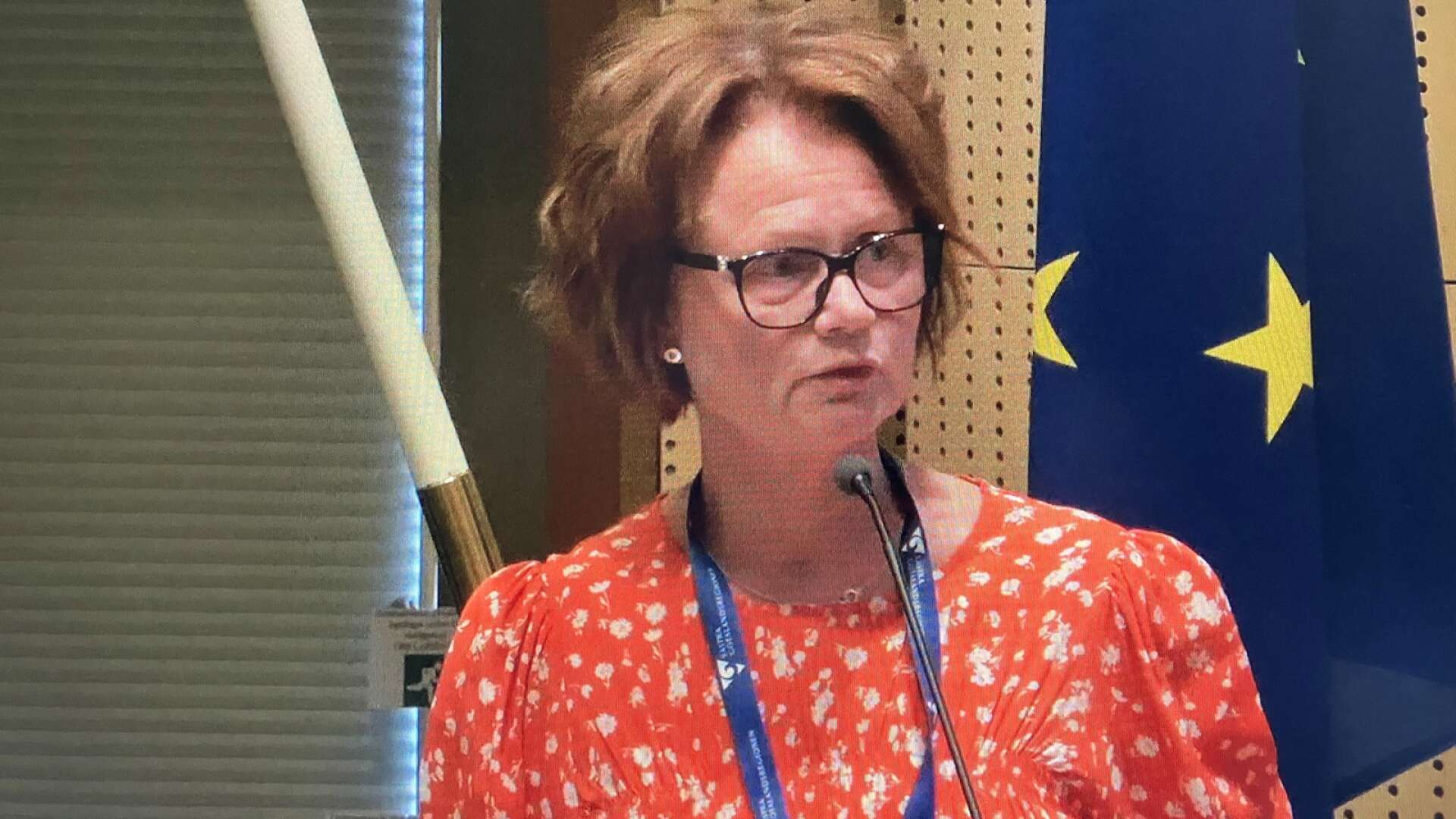 Anna-Karin Skatt (S), ordförande Skaraborgs sjukhusstyrelse. 