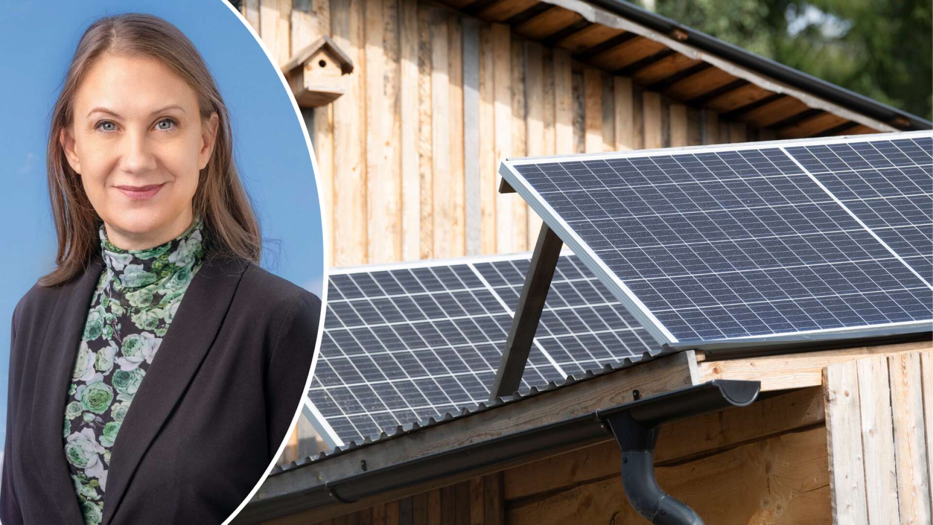 Anna Werner, vd på Svensk Solenergi, tror att solkraften går en lysande framtid till mötes.