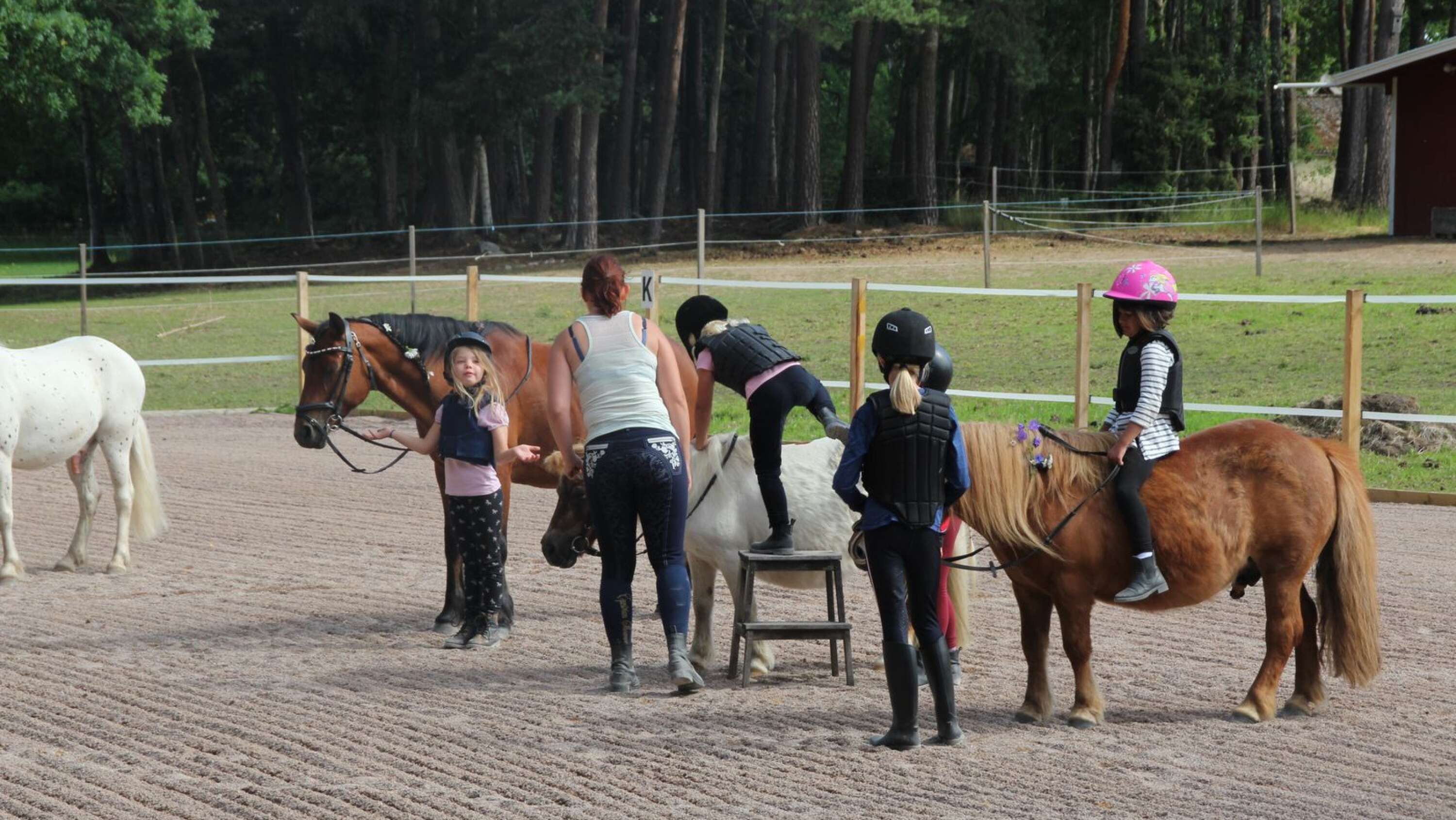 Amanda Haglund hjälper eleverna upp på de snälla hästarna.