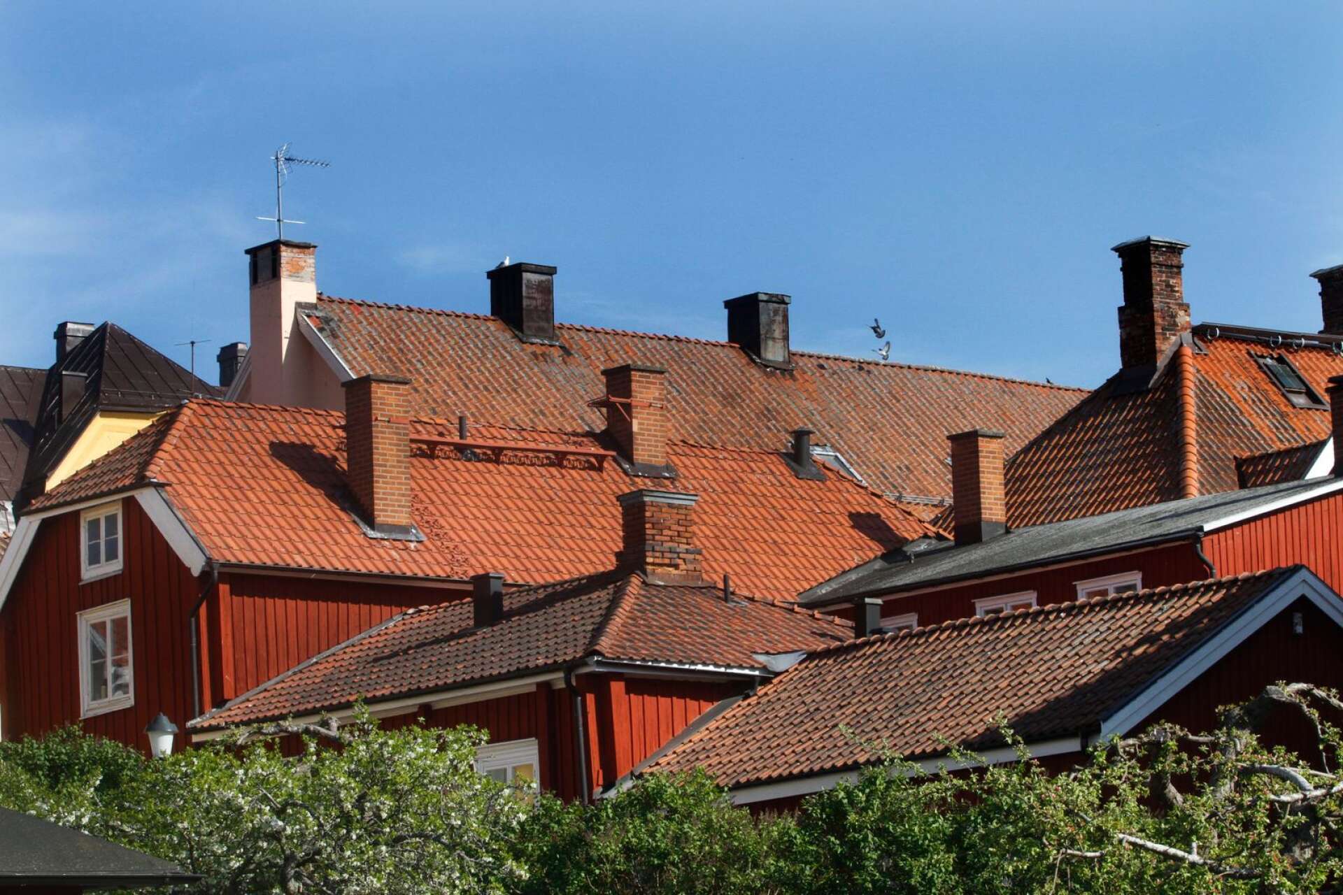 Branschfolk inom byggnadsvården ser flera anledningar att behålla gamla byggnader. Bilden visar gamla stan i Mariestad.