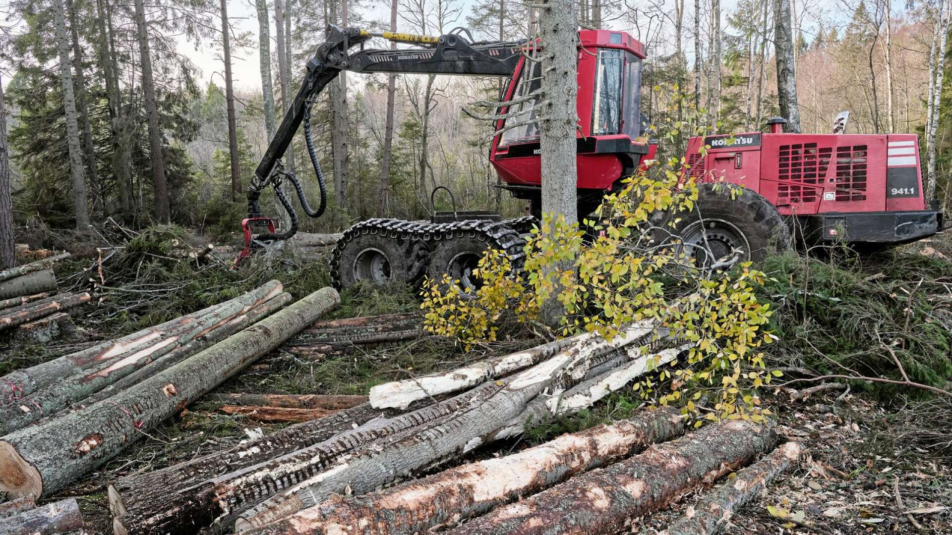 Att den svenska linjen, om att det hållbara skogsbruket ska värnas, efter många om och men till slut fick gehör är därför välkommet och viktigt, skriver Jessica Polfjärd.