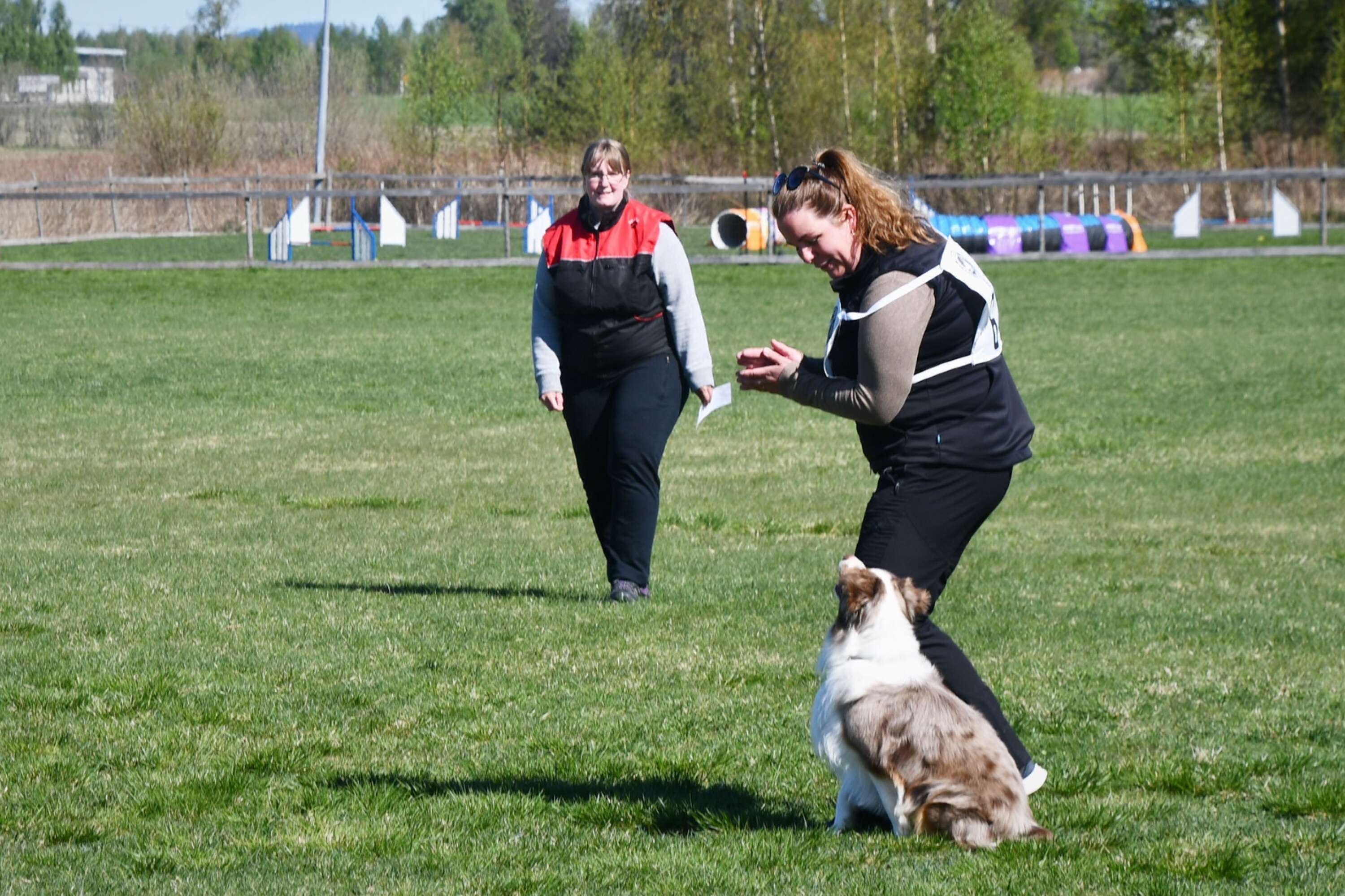 Tolv ekipage deltog i lydnadstävlingen. I bakgrunden tävlingsledaren Erika Eriksson, Torsby brukshundklubb.