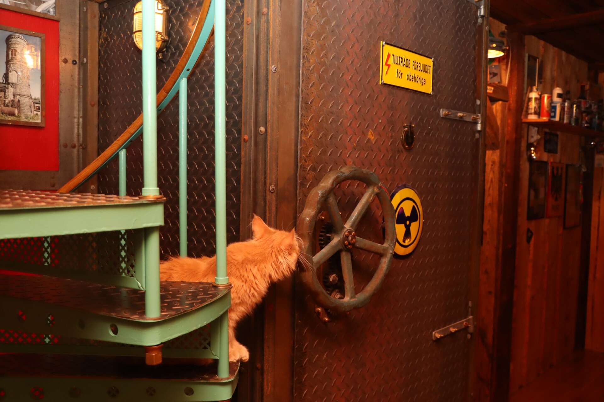 En av Peter Frimans katter verkar, trots skylten, intresserad av den bastanta dörren till en alternativ trappa till övervåningen. 