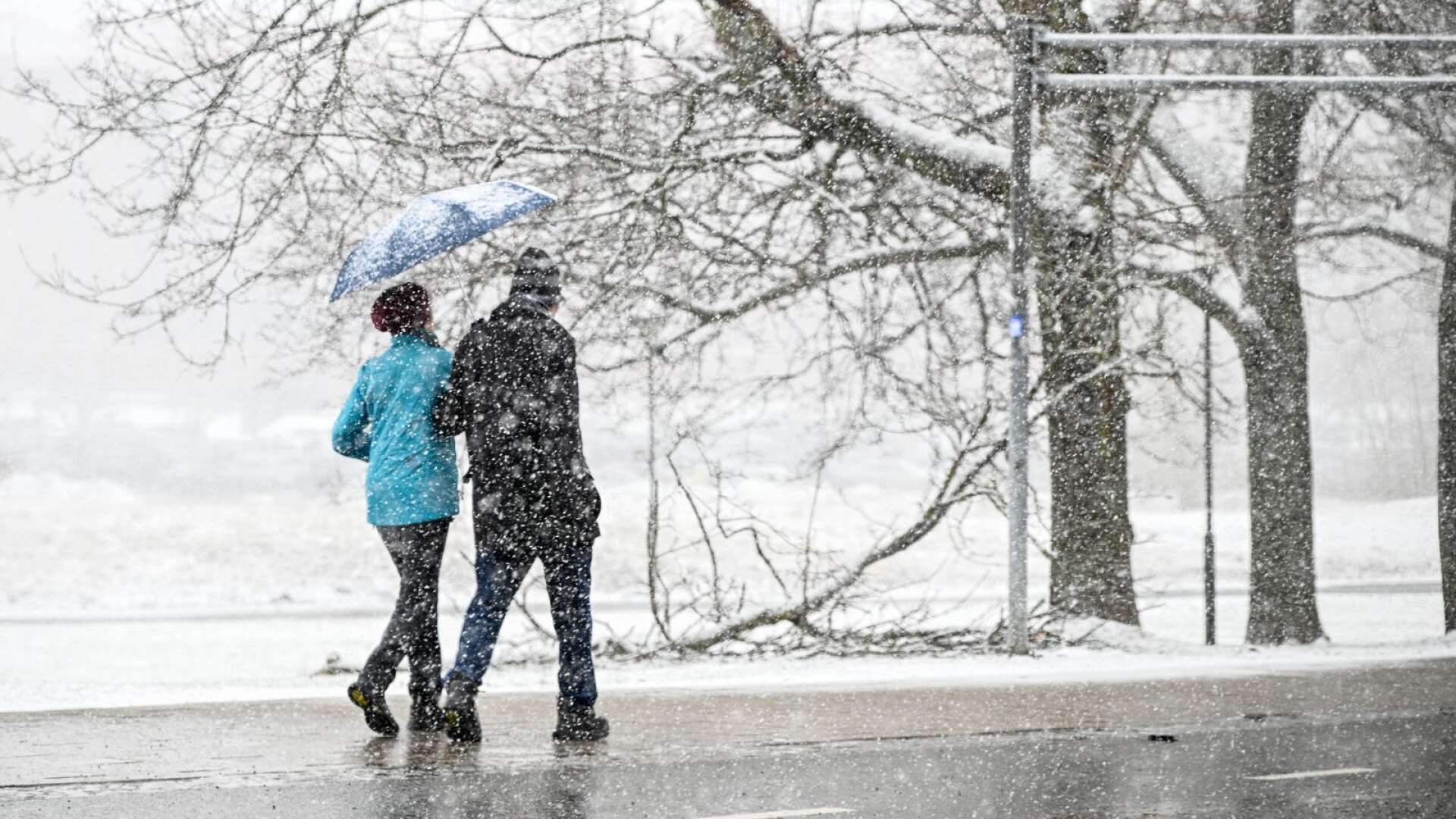 SMHI har utfärdat en gul snöfallsvarning för nordligaste Värmland. Det kan komma 5 till 10 centimeter nysnö fram till tisdag eftermiddag.