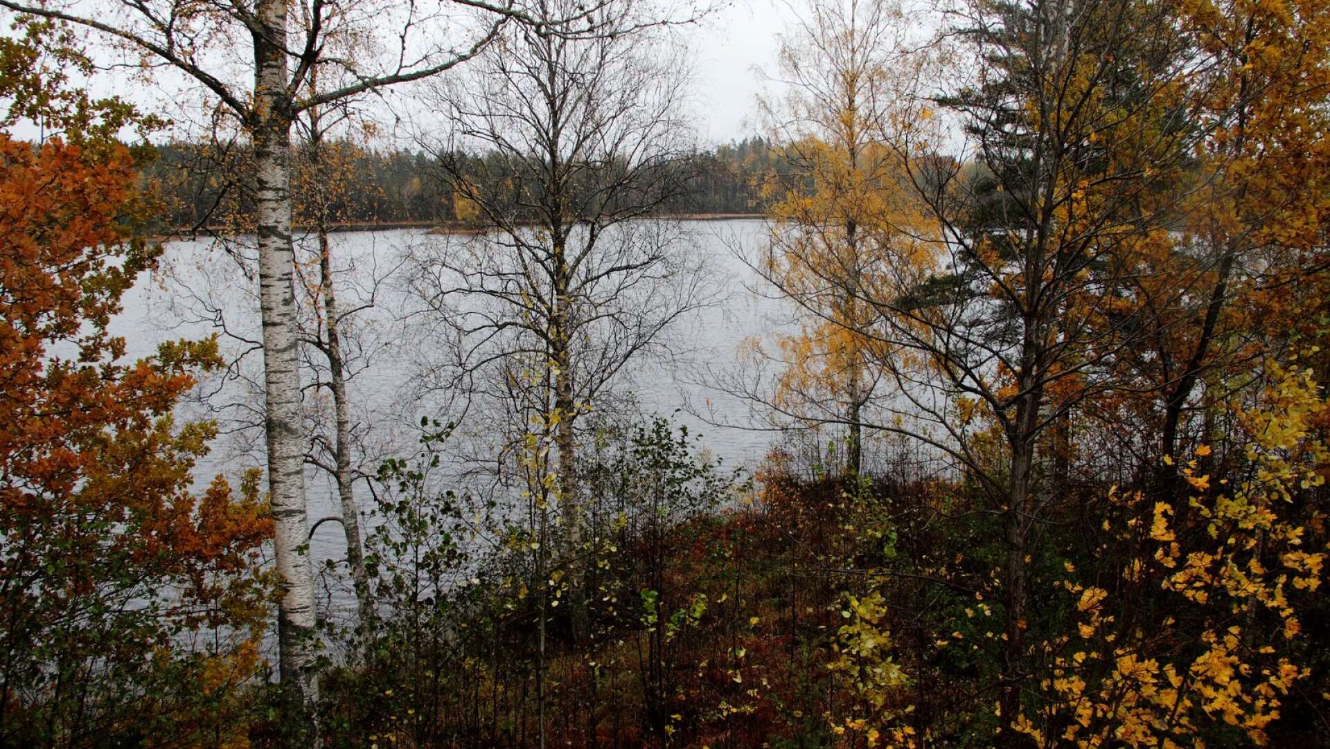 Svartå utvecklingsgrupp jobbar bland annat för att det öppnas upp mer i skogspartiet längs väg 205, mot sjön Lill-Björken, och nu får alla komma med synpunkter på vad som behöver göras.