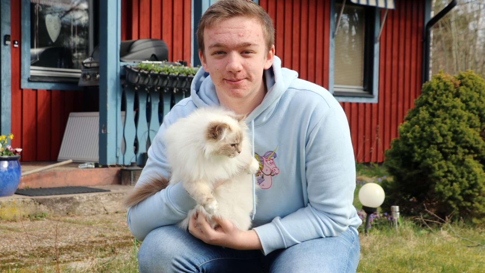 Dante Tjus, ordförande i elevkåren på Karlbergsgymnasiet i Åmål, förordar att ett traditionellt studentfirande hålls i augusti. Gittan, en av familjens tre birmakatter, fick också vara med på bild.
