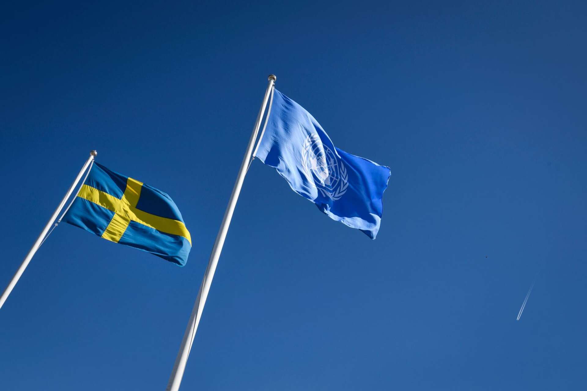 Ett starkt FN och en stark svensk röst i FN krävs mer än någonsin för att hantera utmaningarna i vår omvärld och värna vår och andras fred och frihet, skriver Annelie Börjesson med flera.