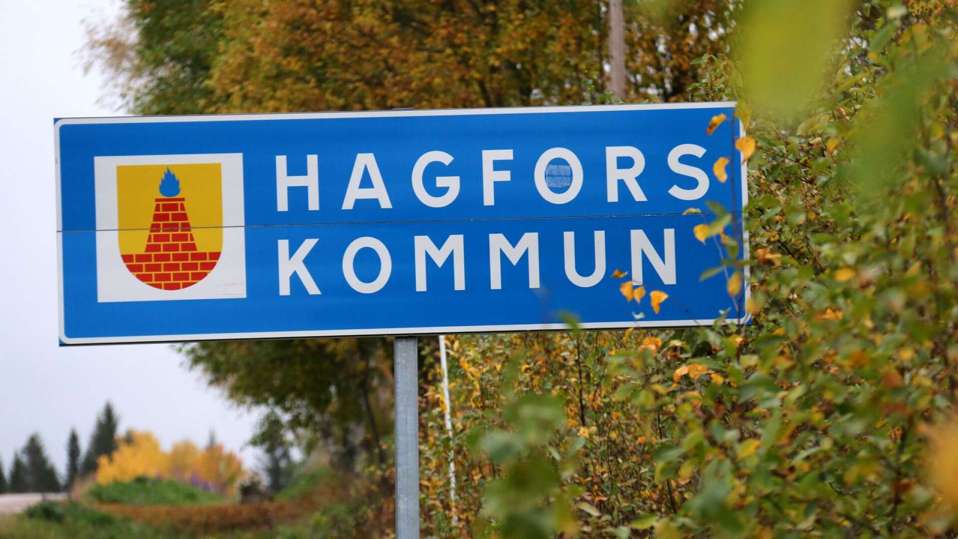 Föraren smet från olycksplatsen efter att den 35-åriga kvinnan blivit påkörd längs väg 62 utanför Hagfors.