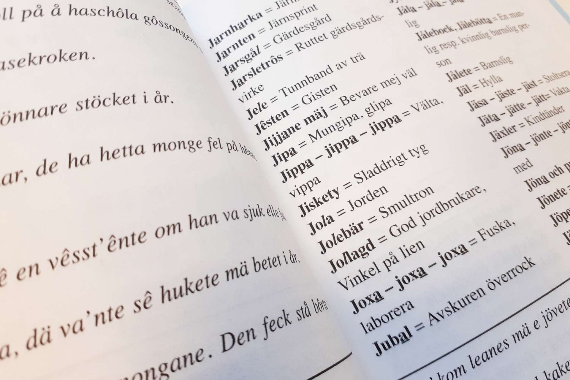 Ett utdrag ur boken Stenebydialekten.