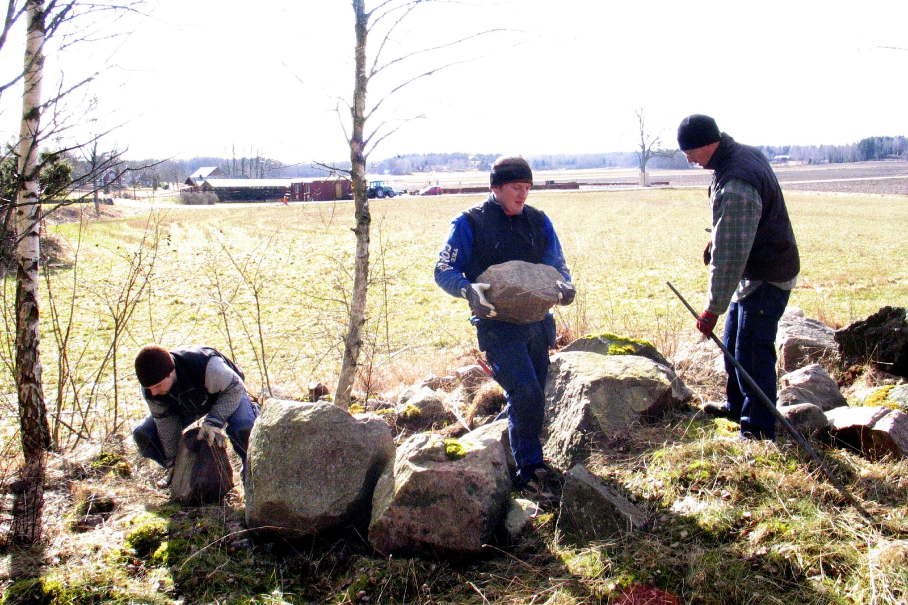 &quot;Involverade i Södra Rådaprojektet räds inte kroppsarbete. Här ser vi Joakim Lilja, Dacapo och stenarbetarna Peter Strützke och Daniel Larsson hämta lämplig sten för ändamålet. I bakgrunden skymtar den gamla kyrkplatsen.