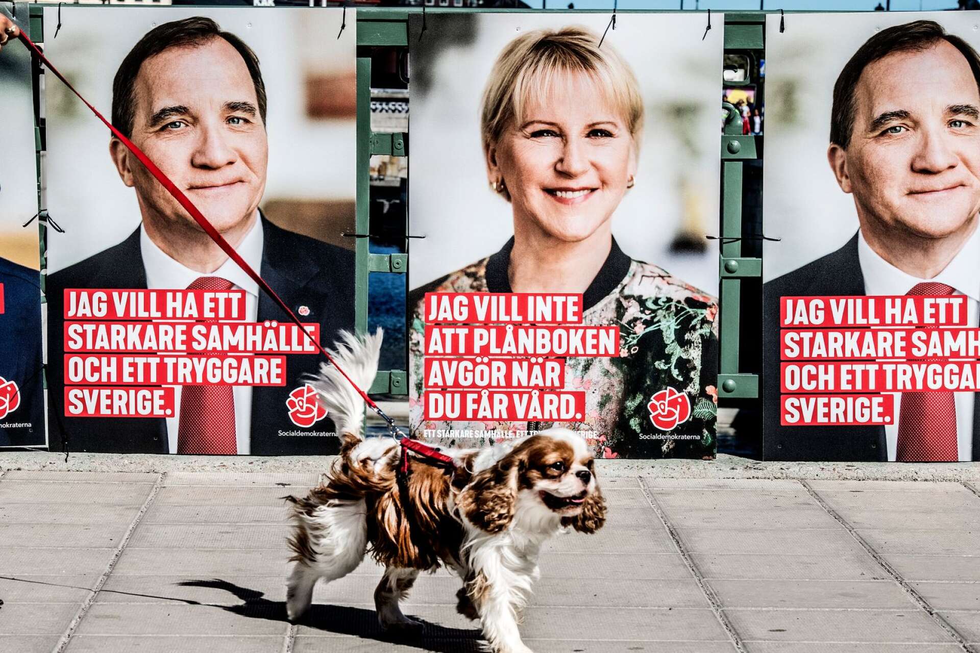 ”Ett starkare samhälle. Ett tryggare Sverige”. Så stod det på Socialdemokraternas valaffischer 2018, skriver Carolin Dahlman.
