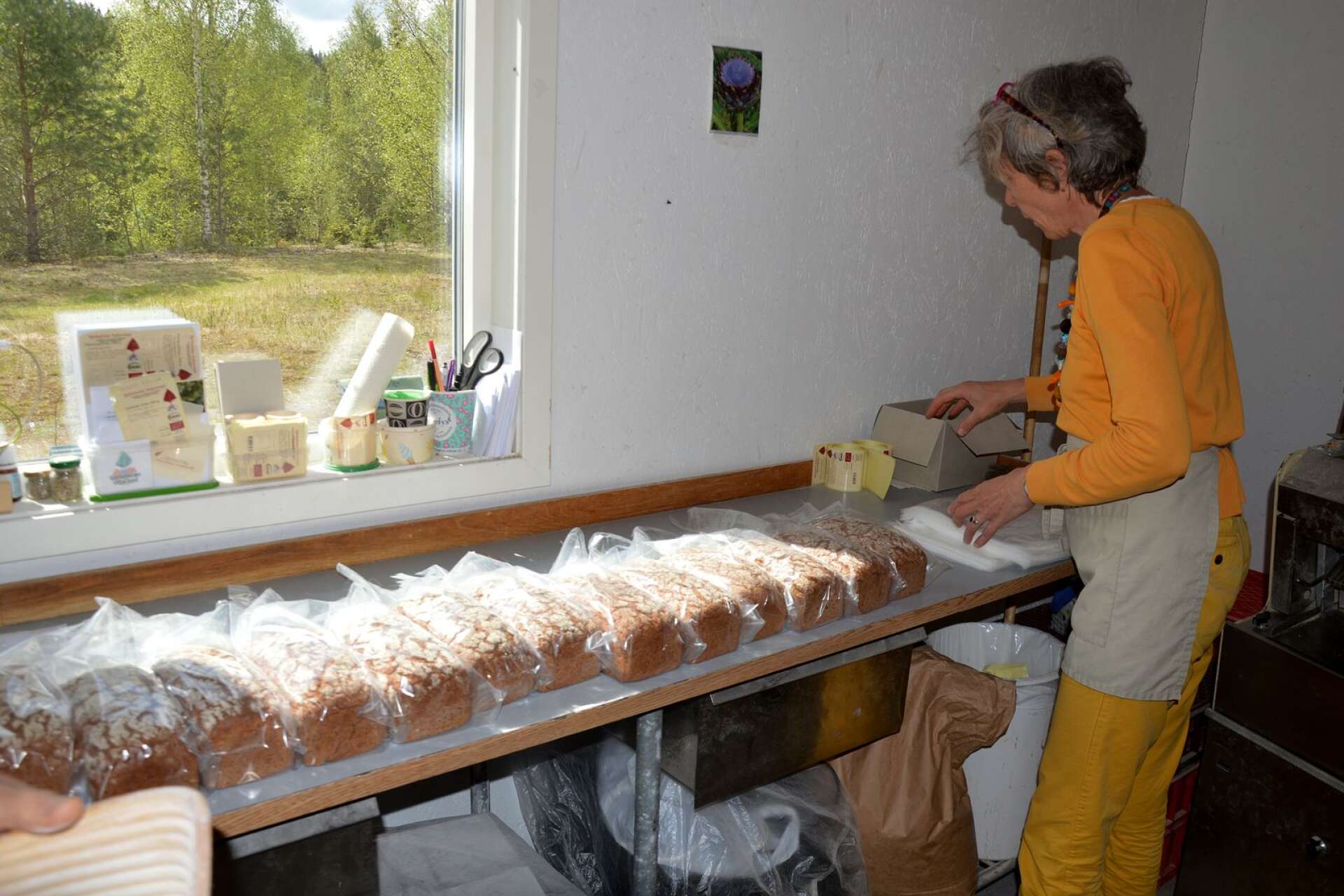 Cornelia packar brödet som är gjort på fullkorn i hantverksbageriet som ligger i Björkaholm öster om Ransbysäter. Brödet levereras till butiker runtom i Värmland men det går också att köpa brödet direkt på plats när bageriet är öppet.