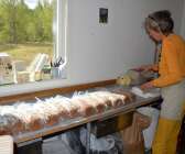 Cornelia packar brödet som är gjort på fullkorn i hantverksbageriet som ligger i Björkaholm öster om Ransbysäter. Brödet levereras till butiker runtom i Värmland men det går också att köpa brödet direkt på plats när bageriet är öppet.