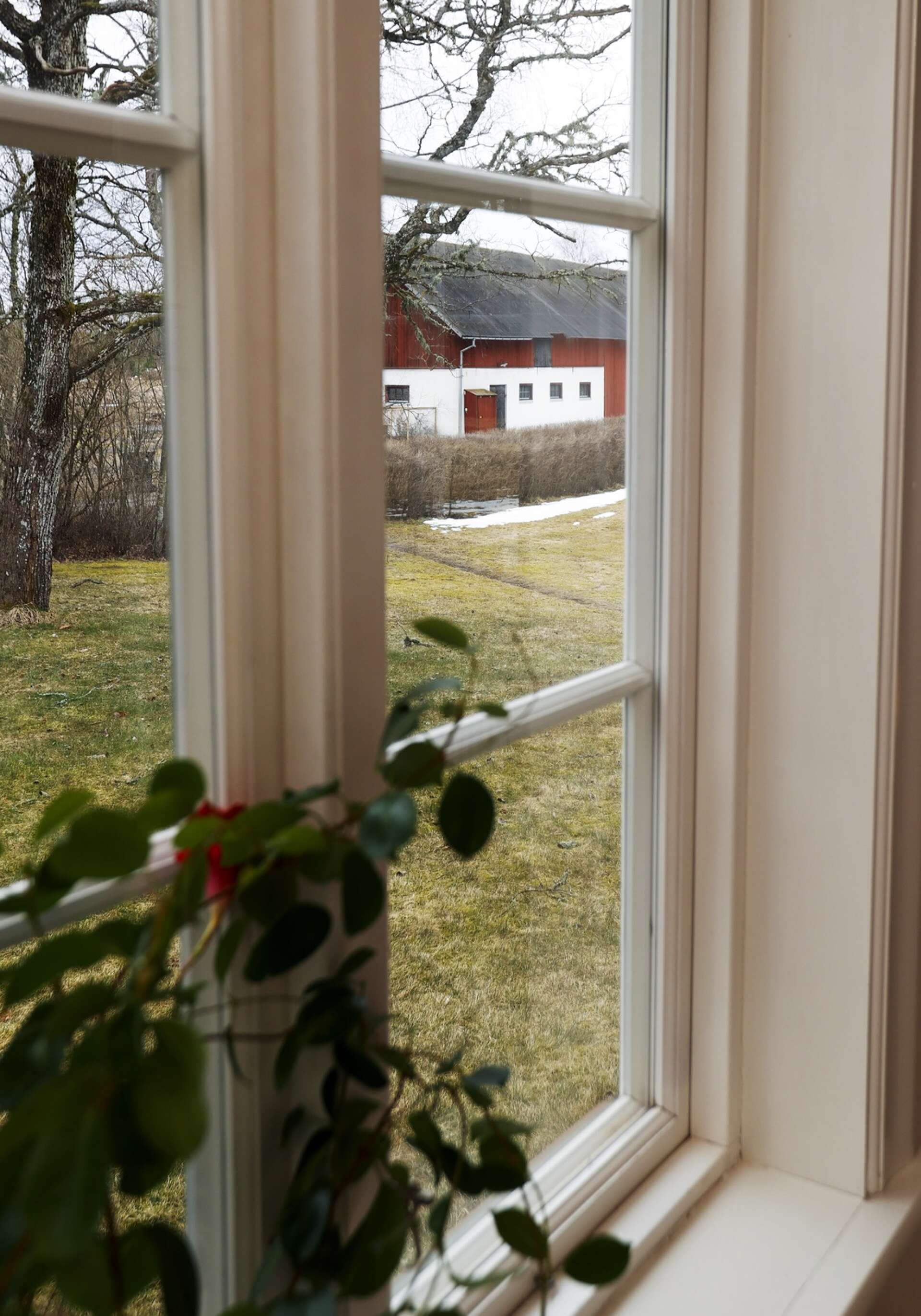 Gunilla Östangård bor och arbetar sedan 20 år på den naturskönt belägna Karterud gård på Segerstad.