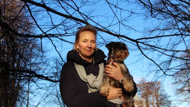 Hundpsykologen Ulrika Claesson Månsson avslöjar hur du ska agera om du blir attackerad av en hund. 
