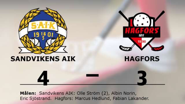 Sandvikens AIK vann mot Hagfors IBS