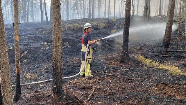 Det brann på en yta av ett och ett halvt hektar i Bäckelund utanför Värmlandsbro i augusti 2022.