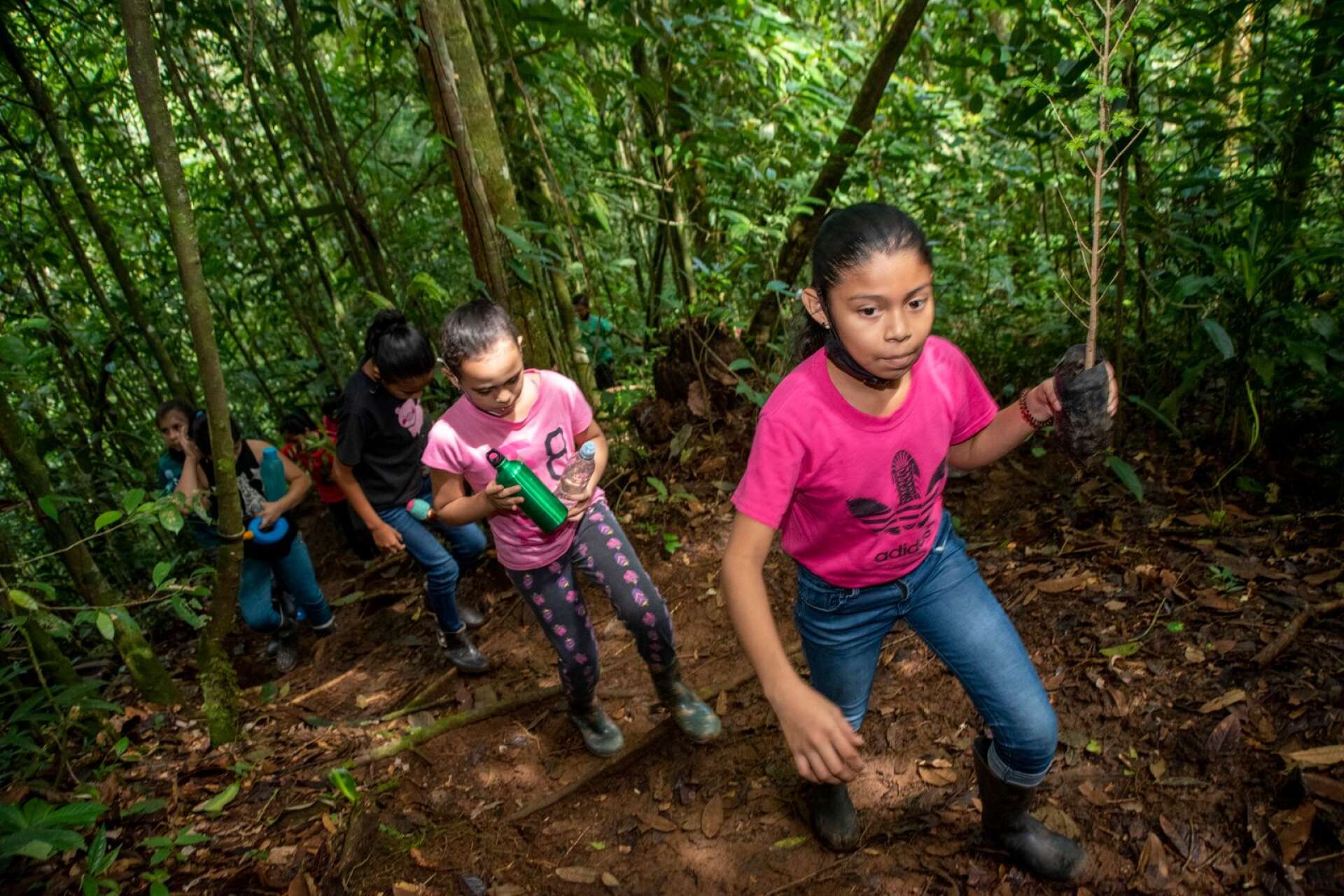 Tania Jarquín Vásquez går i femman i en fattig by på sluttningen till Barnens Regnskog. På miljöundervisningen går hon och klasskamraterna ut i reservatet och planterar nya träd.