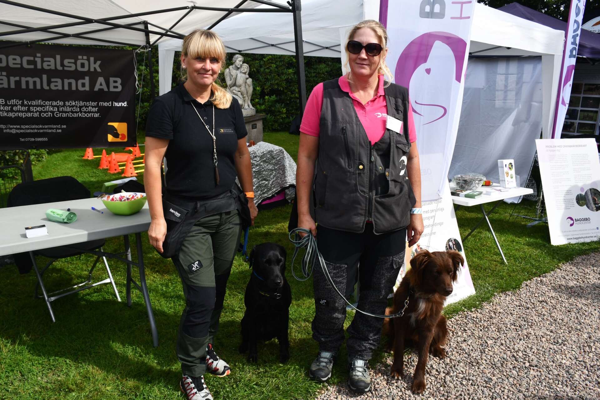 Madeleine Gustavsson och Camilla Lundgrens hundar är specialister på att söka efter granbarkborre.