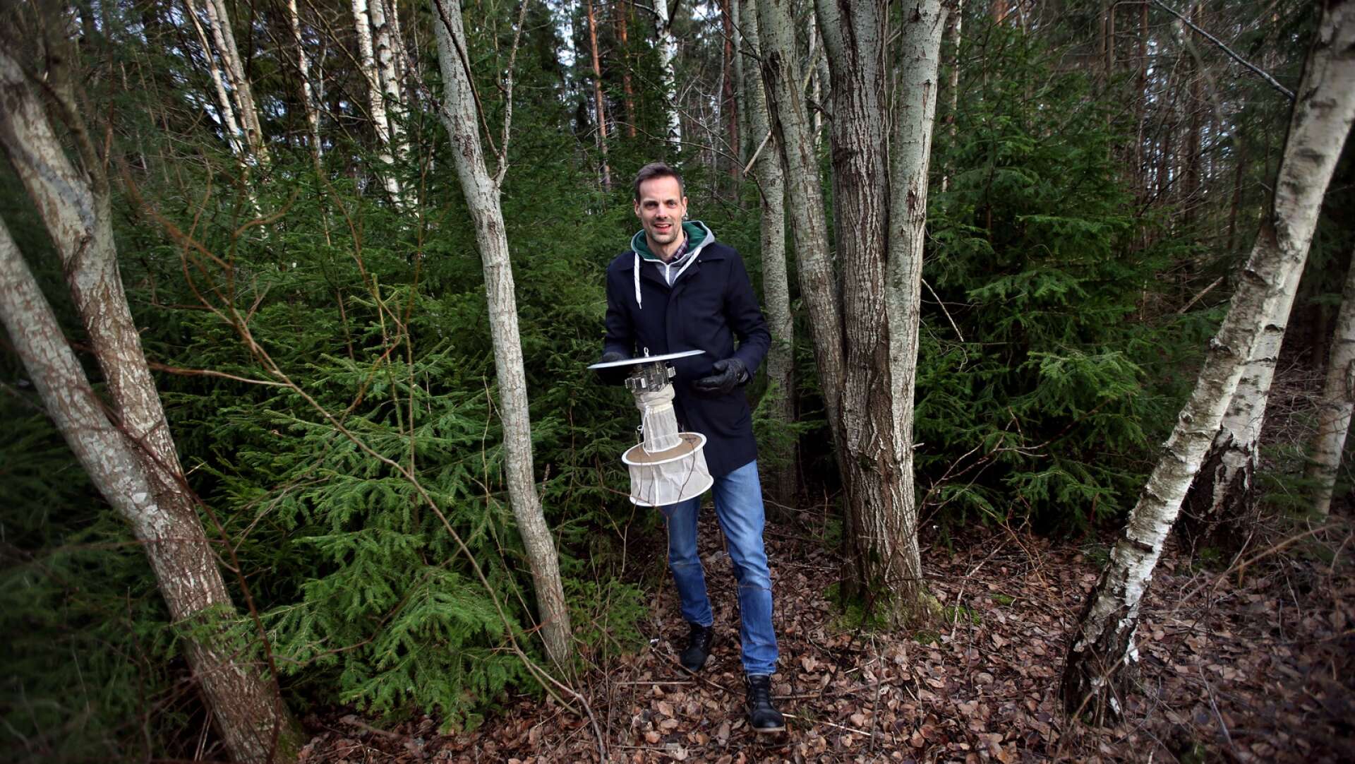 Fredrik Nilson, avdelningschef på teknik- och fastighetsförvaltningen, konstaterar att det krävs ett bättre underlag för att kunna ansöka om biologisk myggbekämpning. Först 2026 kan det vara aktuellt med en bekämpning.