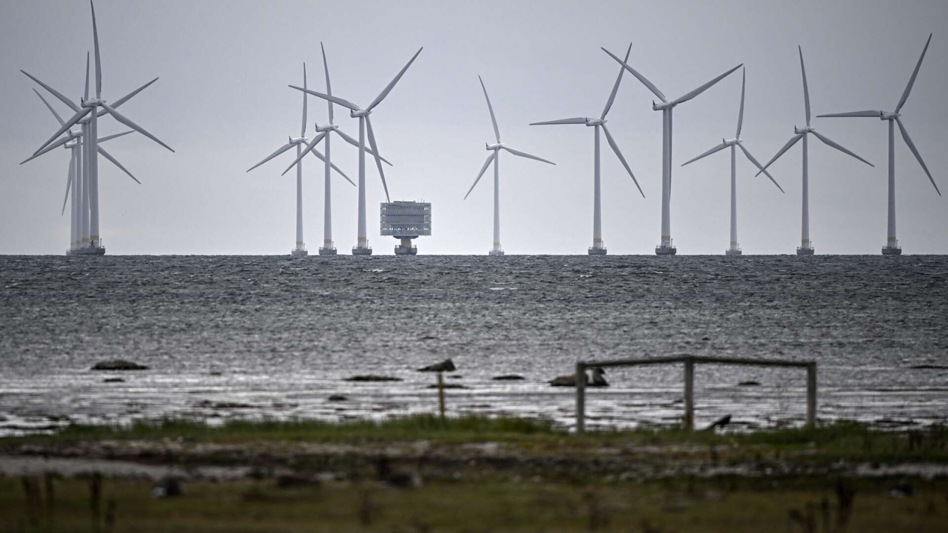 Detta är en bild på de havsbaserade vindkraftverken i Lillgrund vindkraftpark utanför Bunkeflostrand söder om Öresundsbron. Lillgrund består av 48 vindkraftverk med en höjd på 115 meter. Toppeffekten för den havsbaserade vindkraftparken är 110 MW. Ambitionen med satsningen i Vänern är en eller två parker som totalt ger nästan tio gånger så stor effekt. 