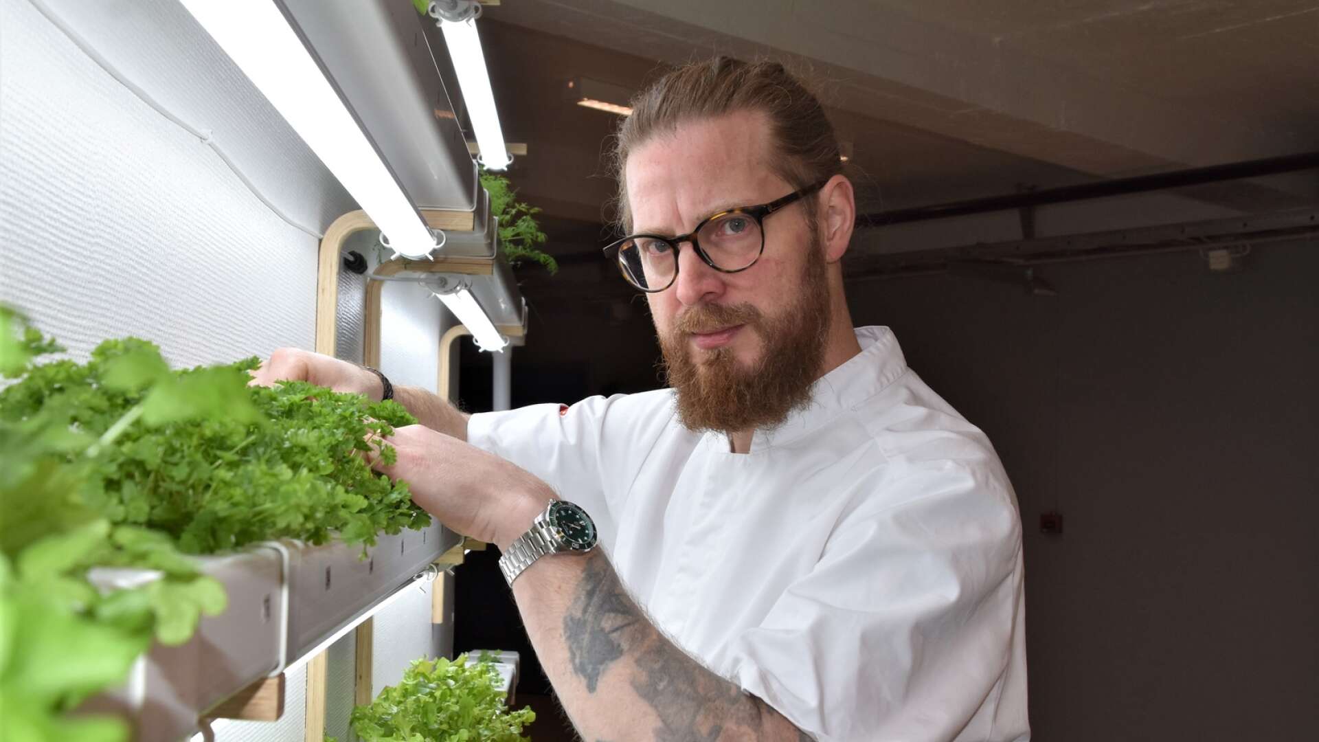 Mathias Persson, yrkeslärare på kockutbildningen och dess elever kan numer skörda egna grönsaker från väggodlingen.