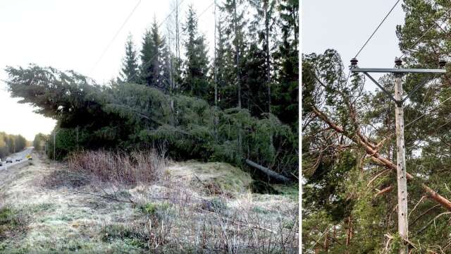 De kraftiga vindbyarna orsakade strömavbrott och nedfallna träd över vägar runt om i Skaraborg. Akriv/genrebilder.