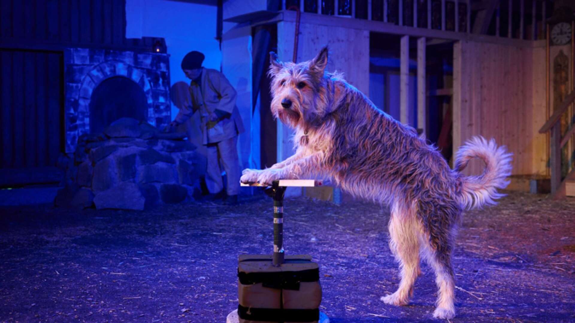 Hunden Luzie är en av skådespelarna i Snövit och de sju dvärghundarna.