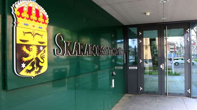 Mariestadsbon har åtalats i Skaraborgs tingsrätt misstänkt för våldtäkt mot barn.