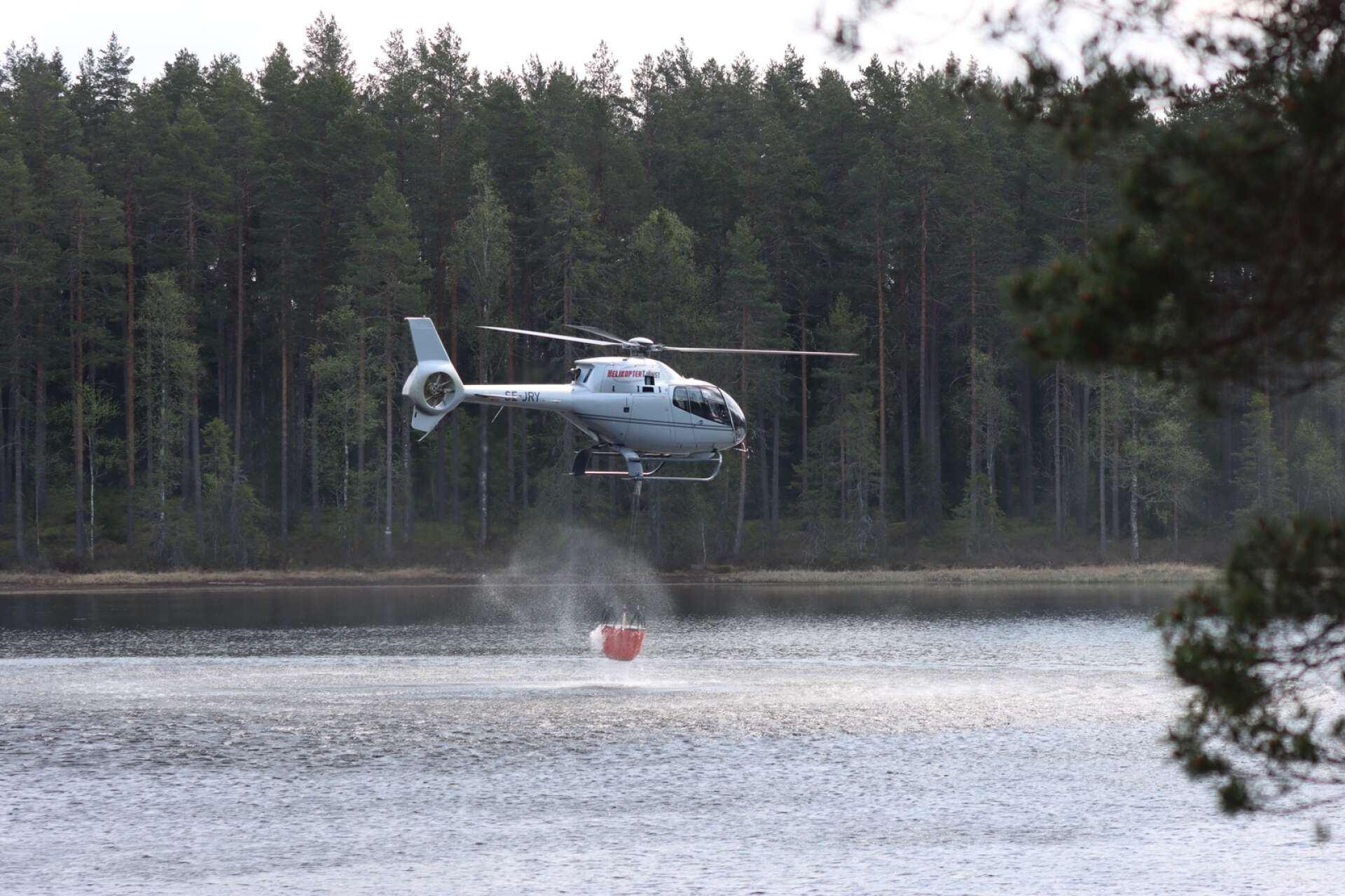 Helikoptern hämtade mycket vatten från de olika skogstjärnarna i området och släppte det över skogen.