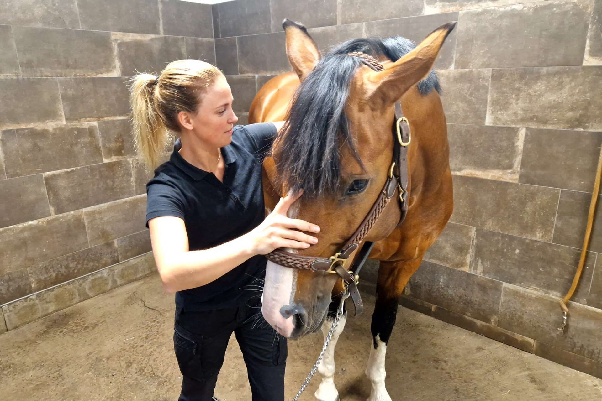 27-åriga Nossebrotjejen Christin Gidstedt har utbildat sig till osteopat för hästar.