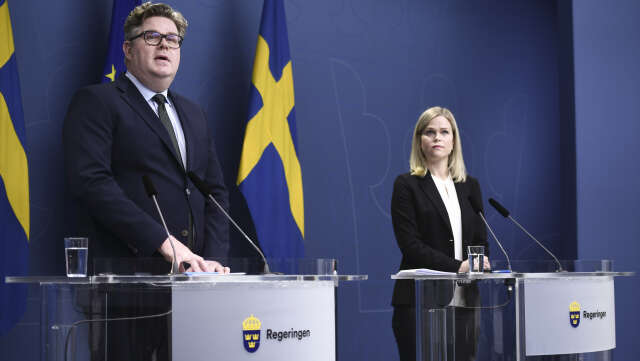 Justitieminister Gunnar Strömmer (M) och jämställdhets- och biträdande arbetsmarknadsminister Paulina Brandberg (L)